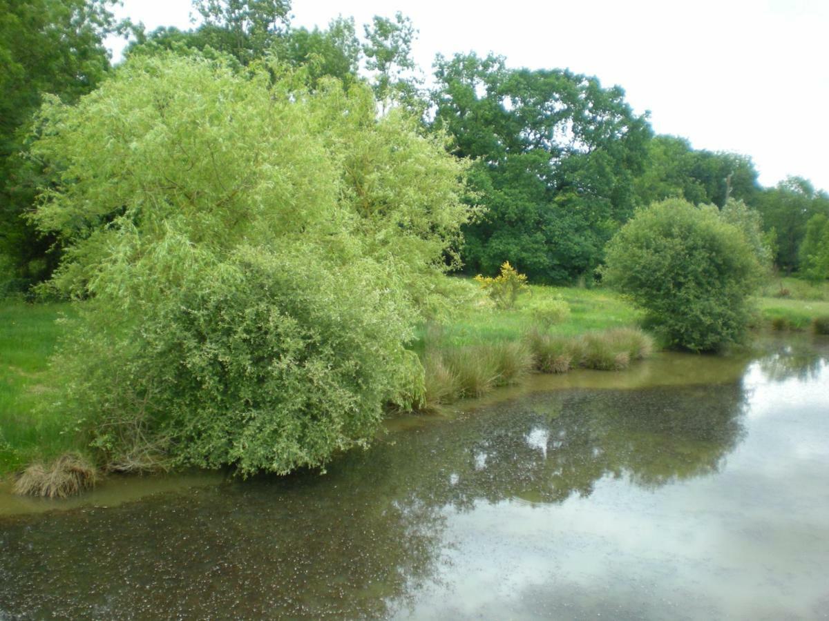 Gite Le Moulin De La Chaussee Saint-Denis-d'Orques 外观 照片